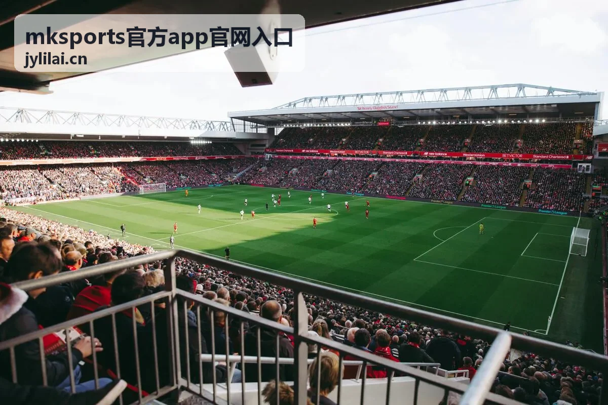 mksports官方app官网入口帮助中心自查流程示意